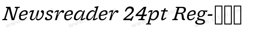 Newsreader 24pt Reg字体转换 Newsreader 24pt Reg字体转换